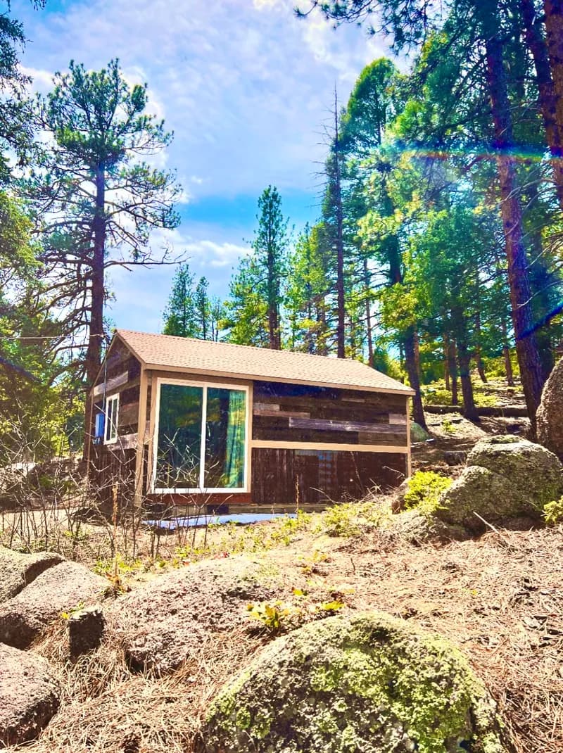 Cabin view showing integration with the landscape