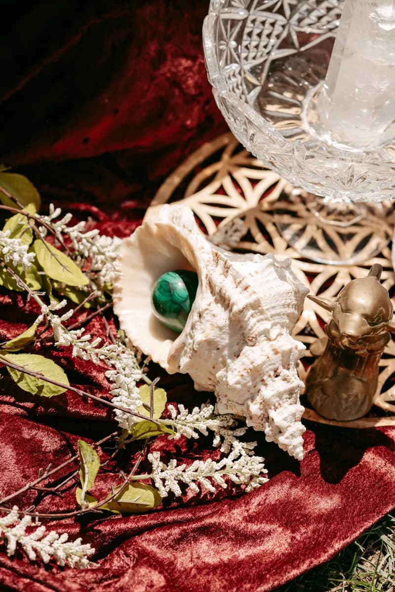 A ceremony altar on red velvet with a conch shell, a green stone, a crystal bowl and white sprigs