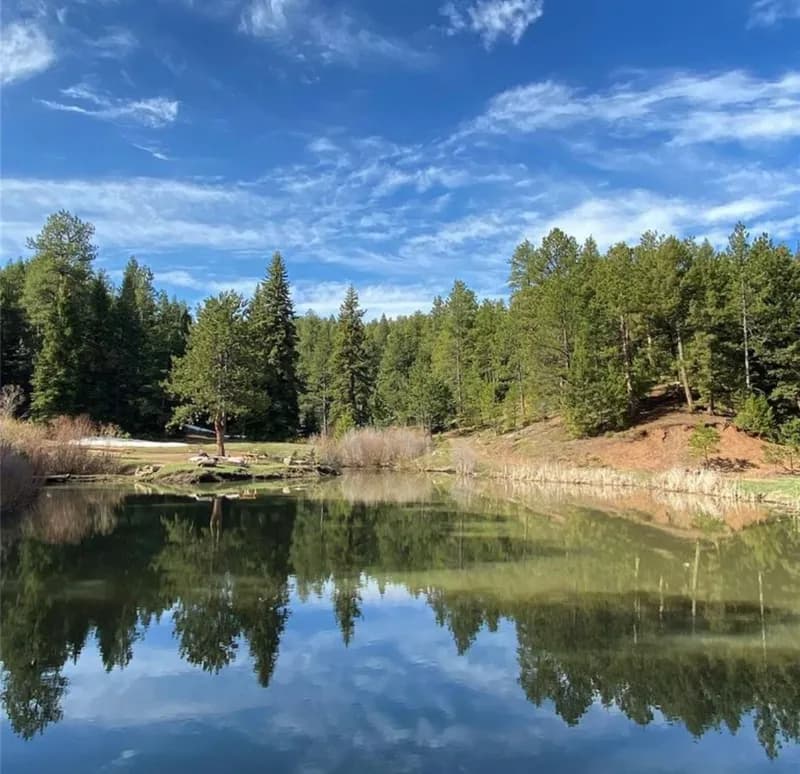 Tranquil pond reflecting the surrounding trees and sky