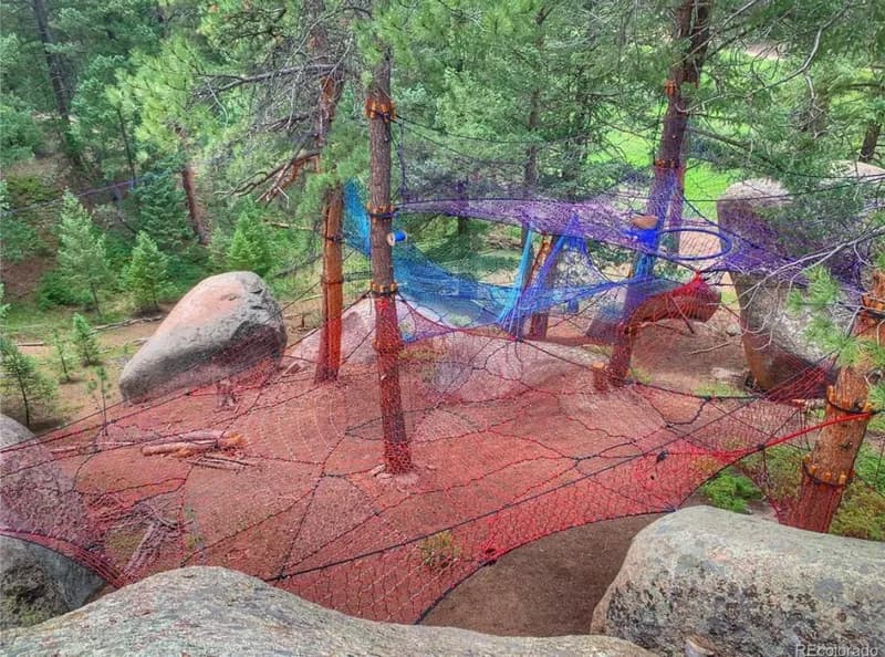 Colorful aerial tree nets suspended among the pines