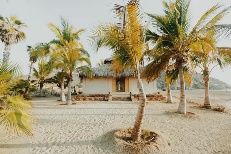Sunlit ceremony and yoga studio with vaulted ceilings